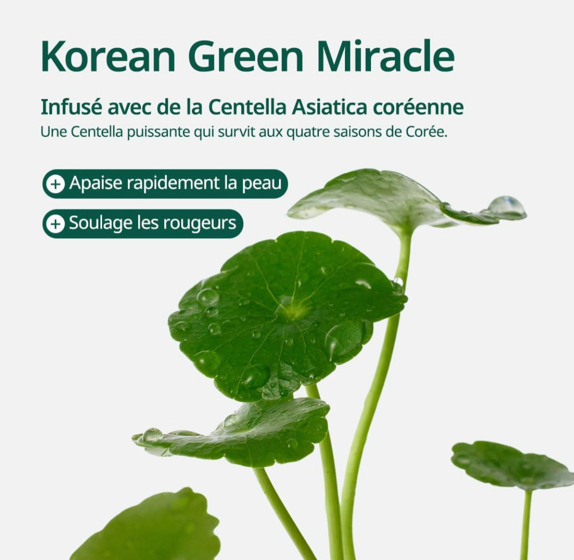 PURITO Centella Unscented Serum, Korean Centella, for All Skin Types